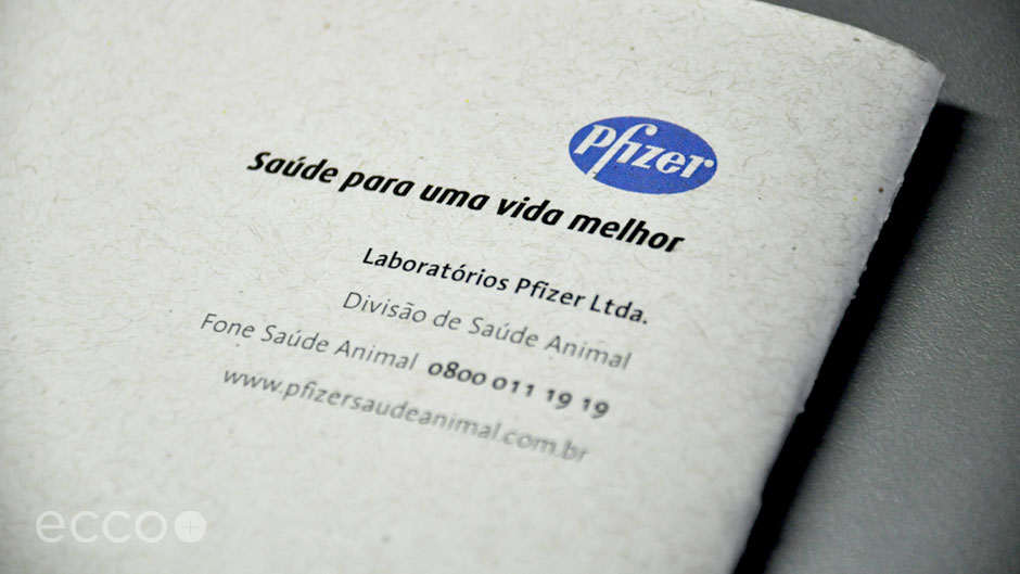 Portfolio_Pfizer_Branding_003