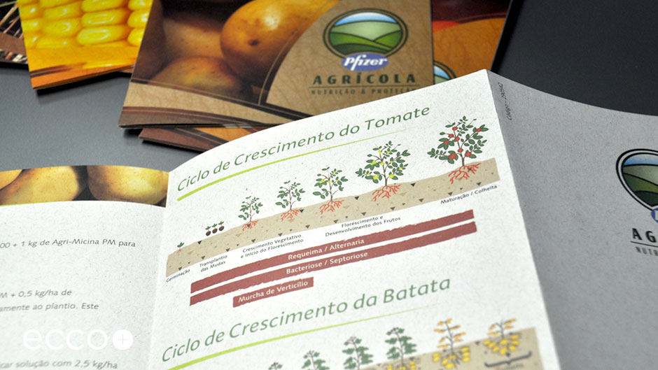 Portfolio_Pfizer_Folheteria_004