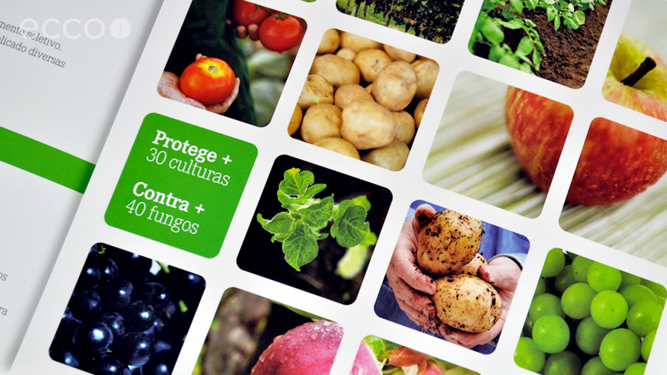 Portfolio_DAS_Dithane_2012_002