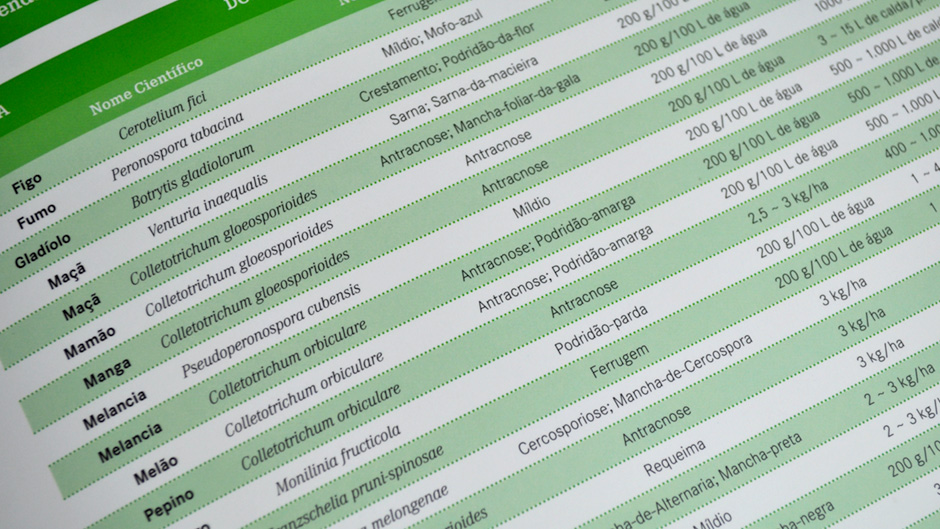 Portfolio_DAS_Dithane_2012_005