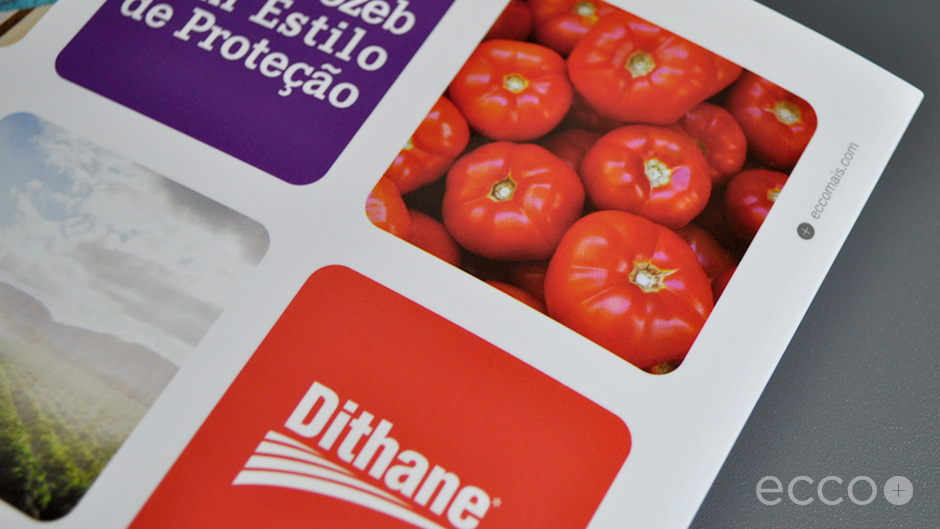 Portfolio_DAS_Dithane_2012_007