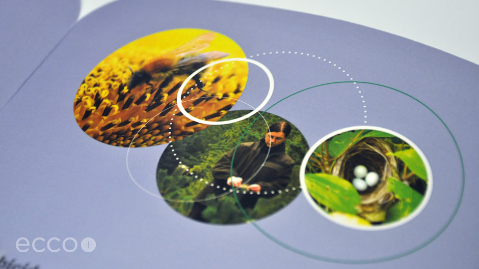 Portfolio_DAS_MIV_005