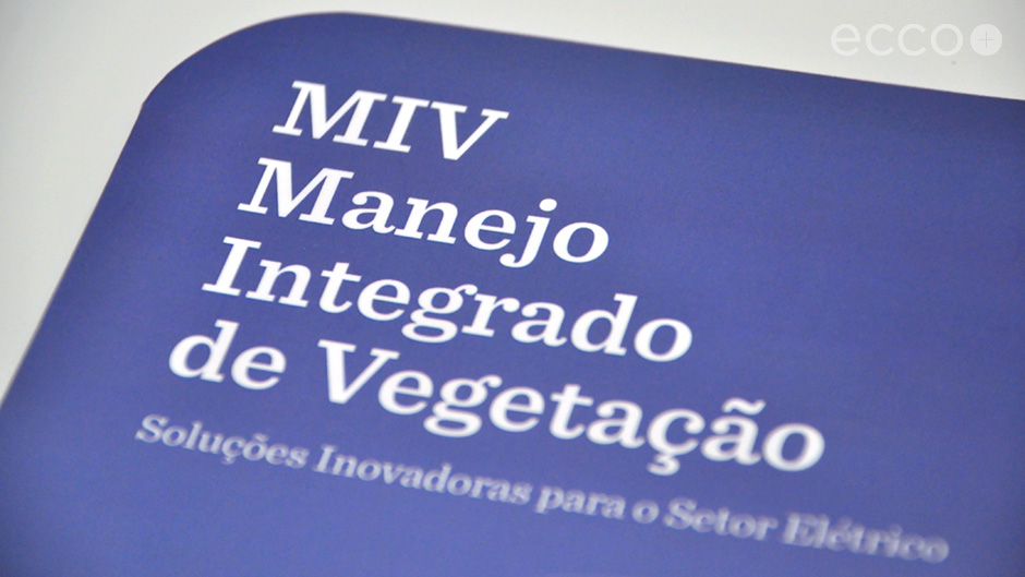 Portfolio_DAS_MIV_006