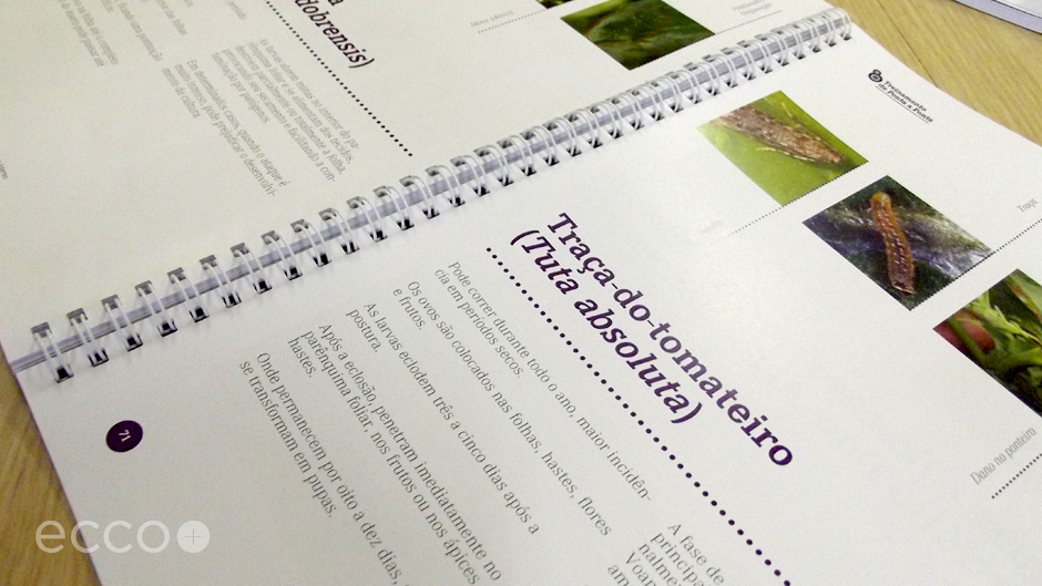 Portfolio_DAS_Treinamento_002