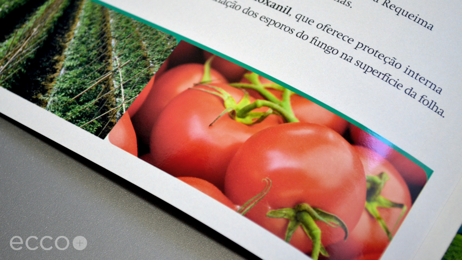 Portfolio_Folheto_Curathane_2013_001