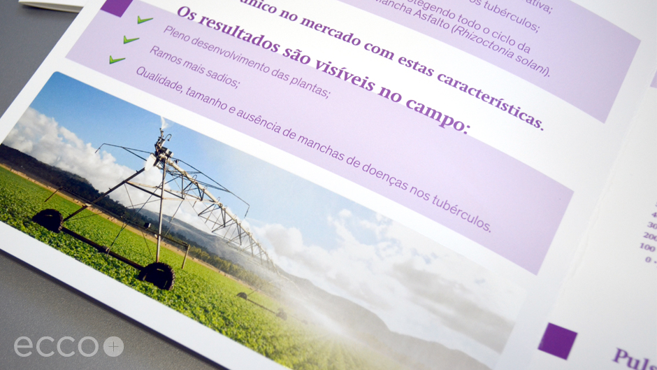 Portfolio_Folheto_Pulsor_2013_002